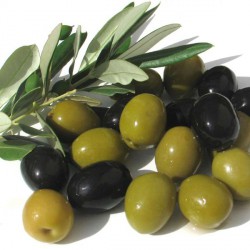Huile végétale d'Olive vierge - Olea europea